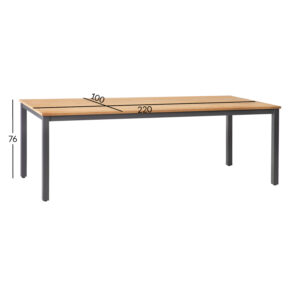 Laud MONTANA 220x100xH76cm, tiik