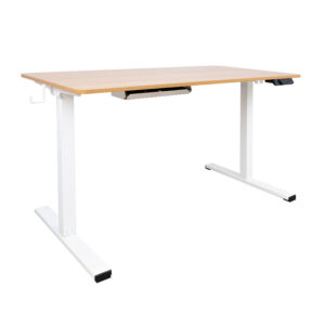 Töölaud ERGO 1-mootoriga 120x60xH73-121cm, tamm/valge