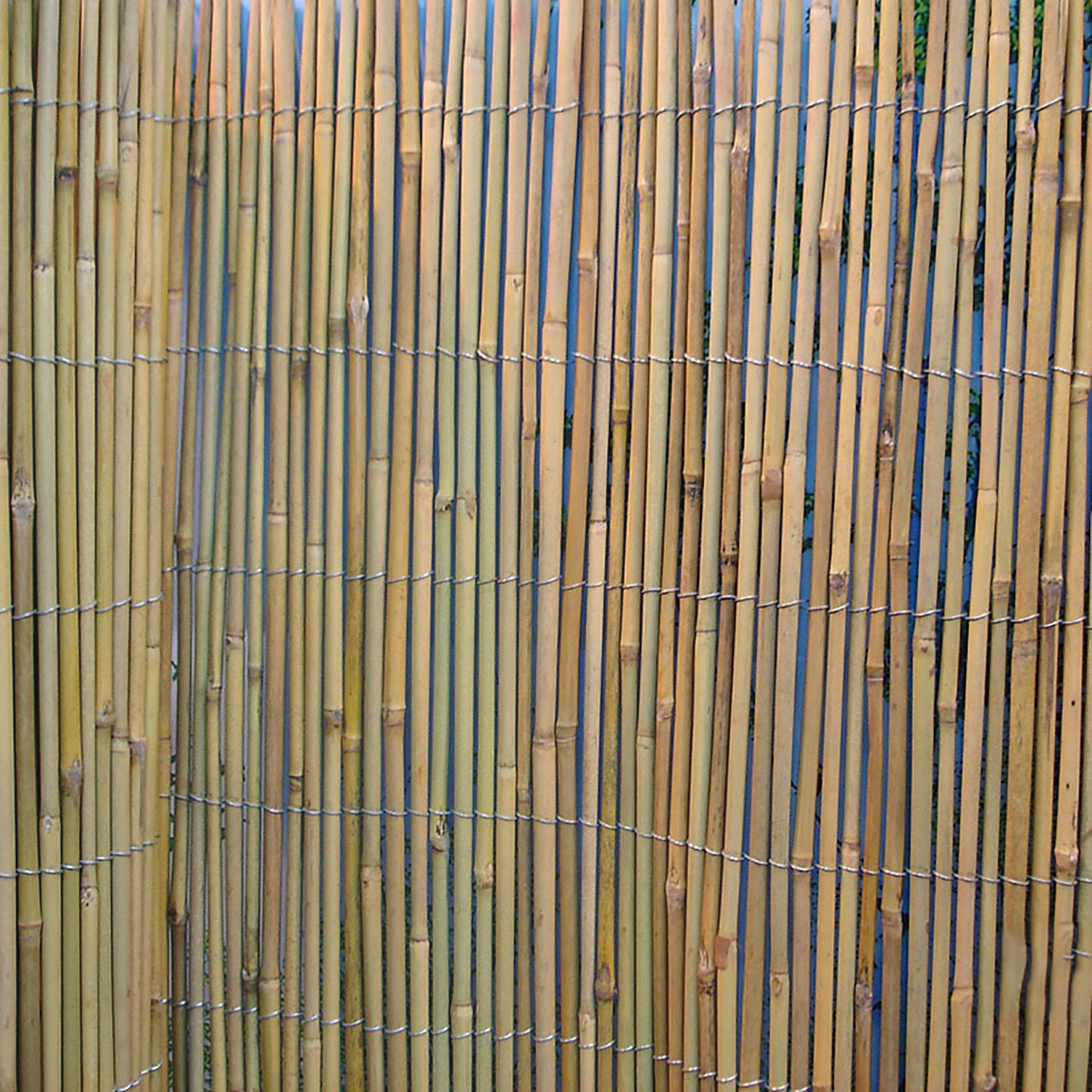 Rull bambusaed IN GARDEN 2x5m, D8/10mm - Image 3