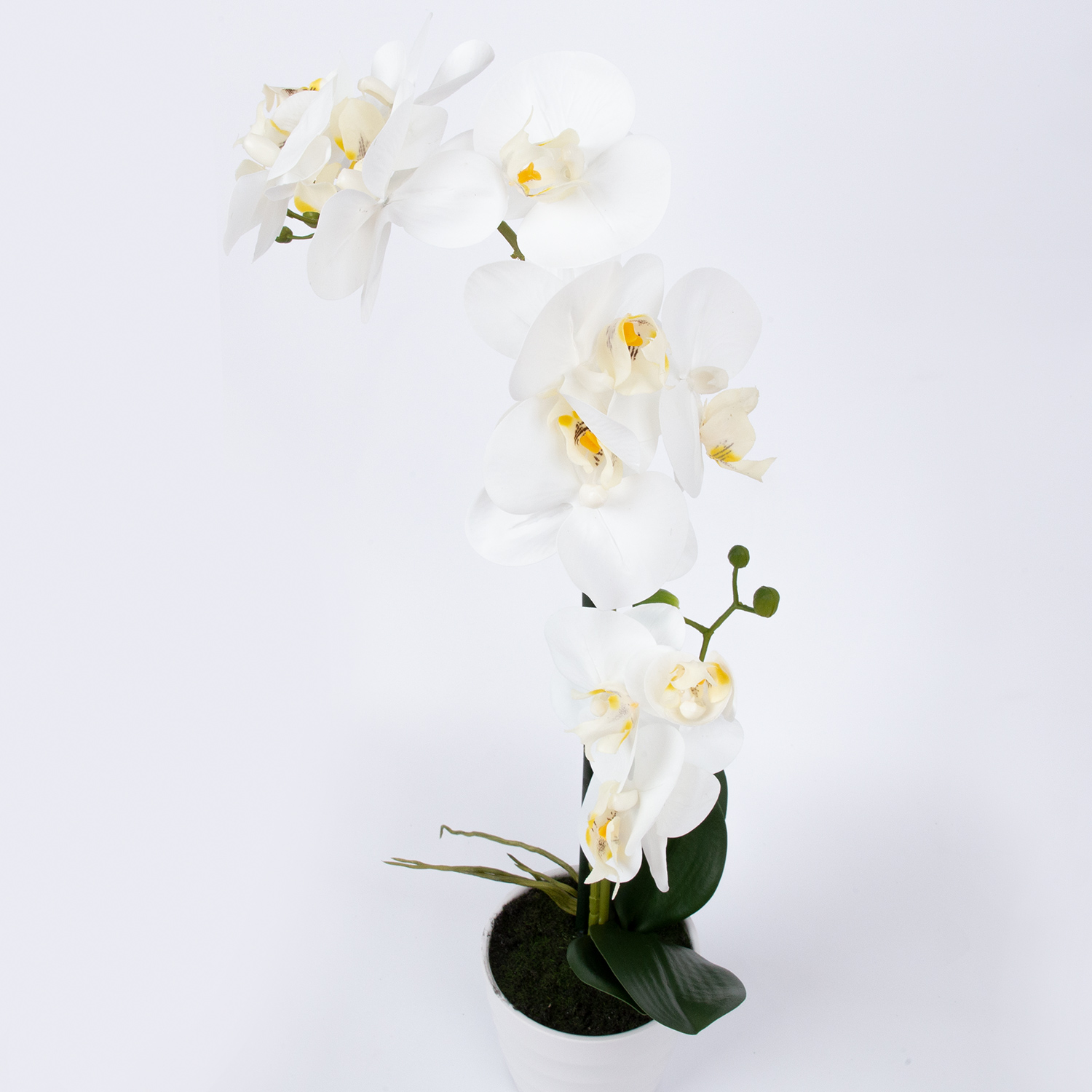 Orhidee WIND IN GARDEN H51cm, valge - Image 2
