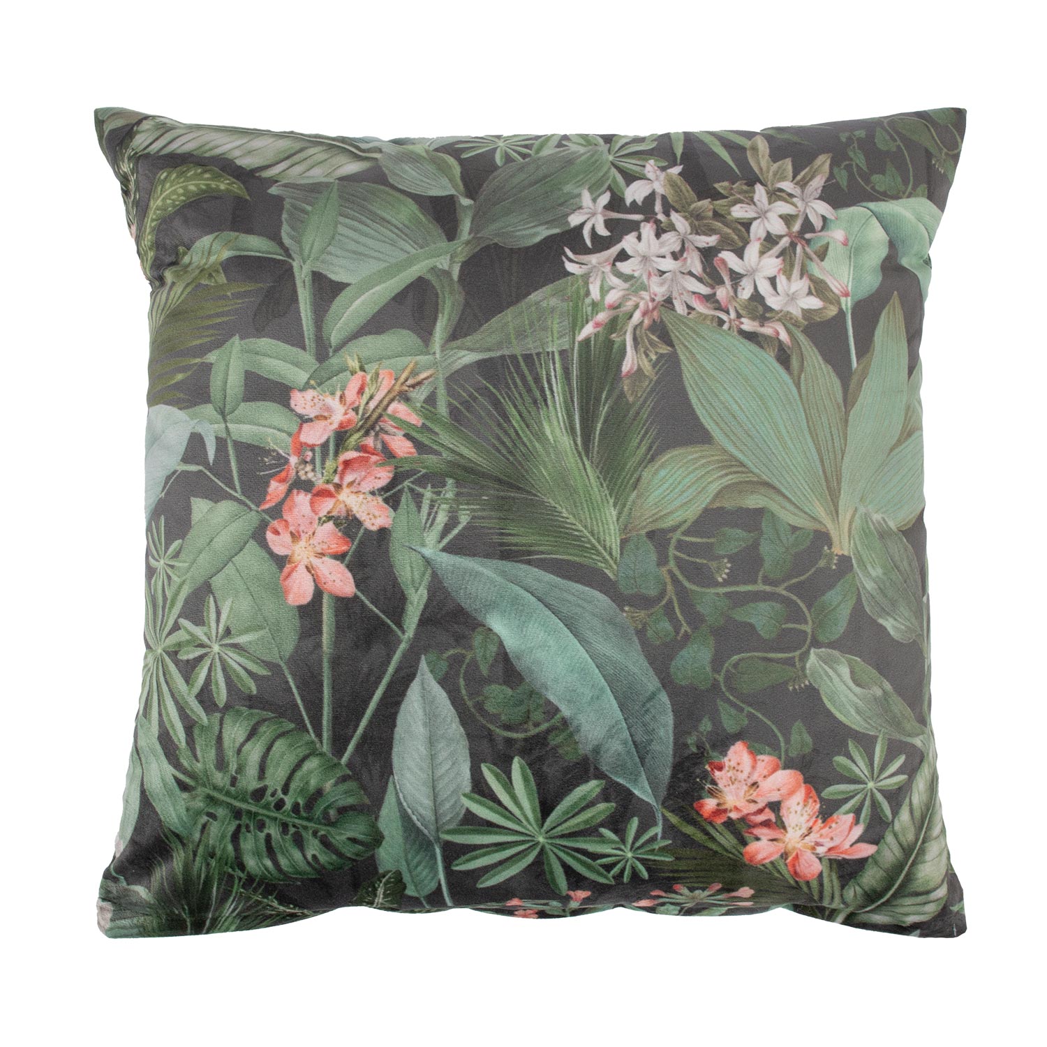 Padi HOLLY 45x45cm, troopilised taimed
