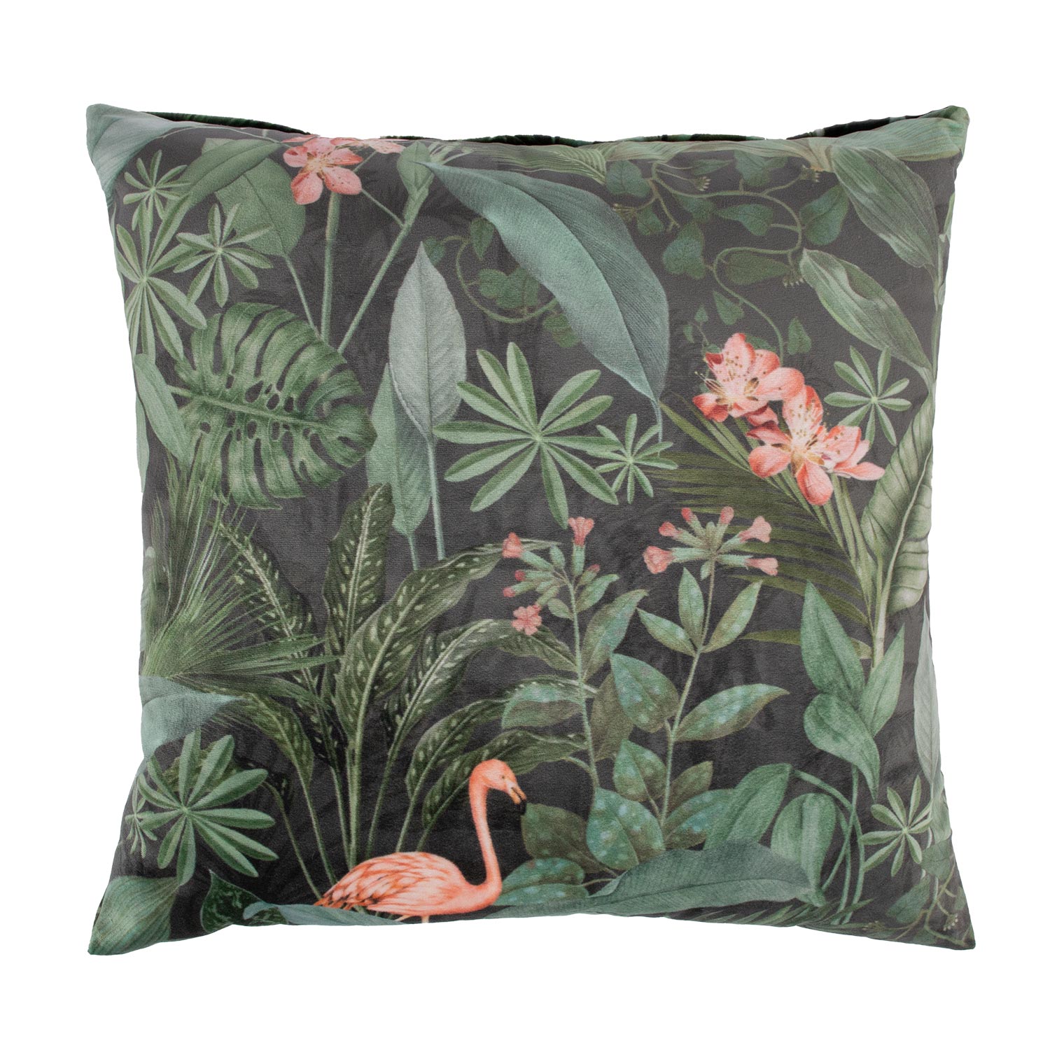 Padi HOLLY 45x45cm, troopilised taimed - Image 2