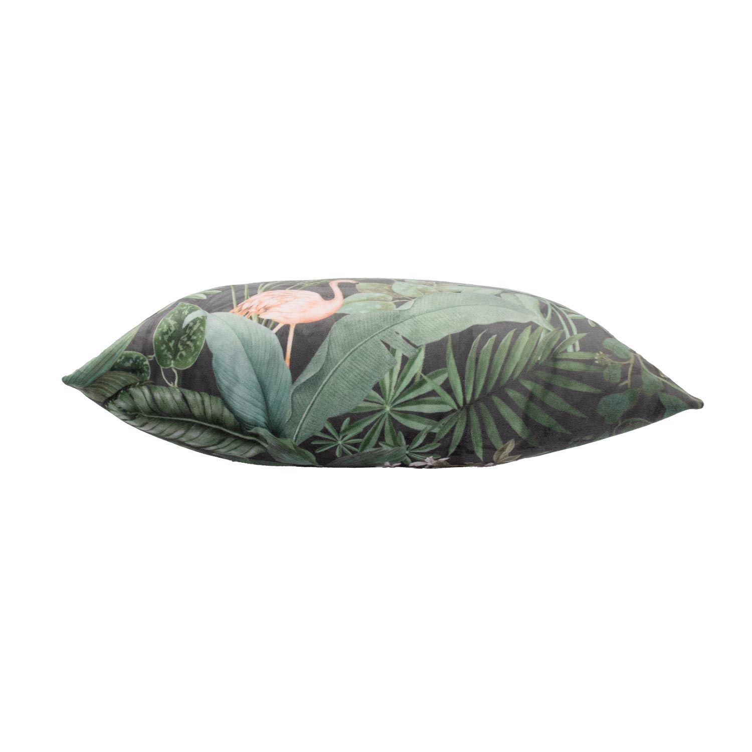 Padi HOLLY 45x45cm, troopilised taimed - Image 3